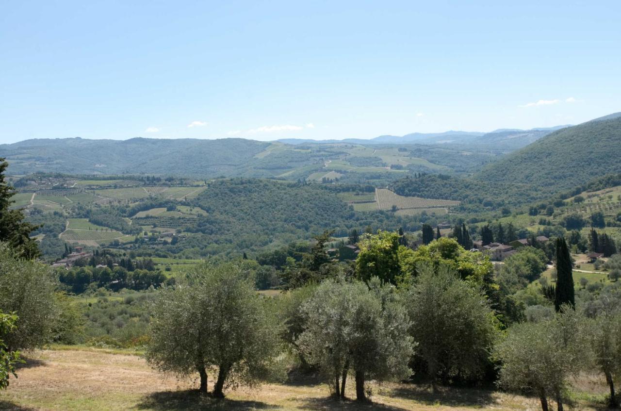 Casa Antico Roseto With Swimming Pool Villa Castellina in Chianti Dış mekan fotoğraf